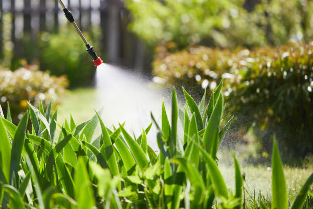 24/7 Emergency Mosquito Control experts in Lincoln, AR