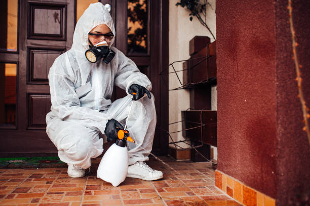 Reliable Mosquito Control contractor in Lincoln, AR by Show Me Pest Control